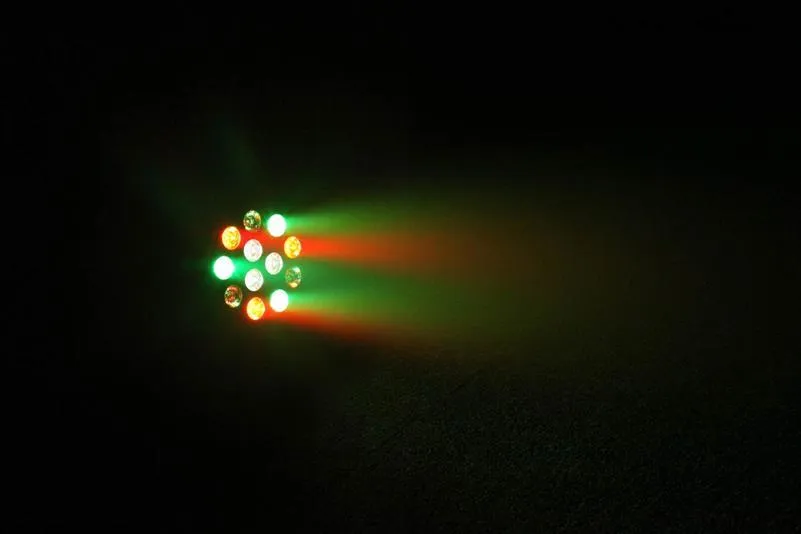 12W Portable LED Par Can Spotlight with Remote