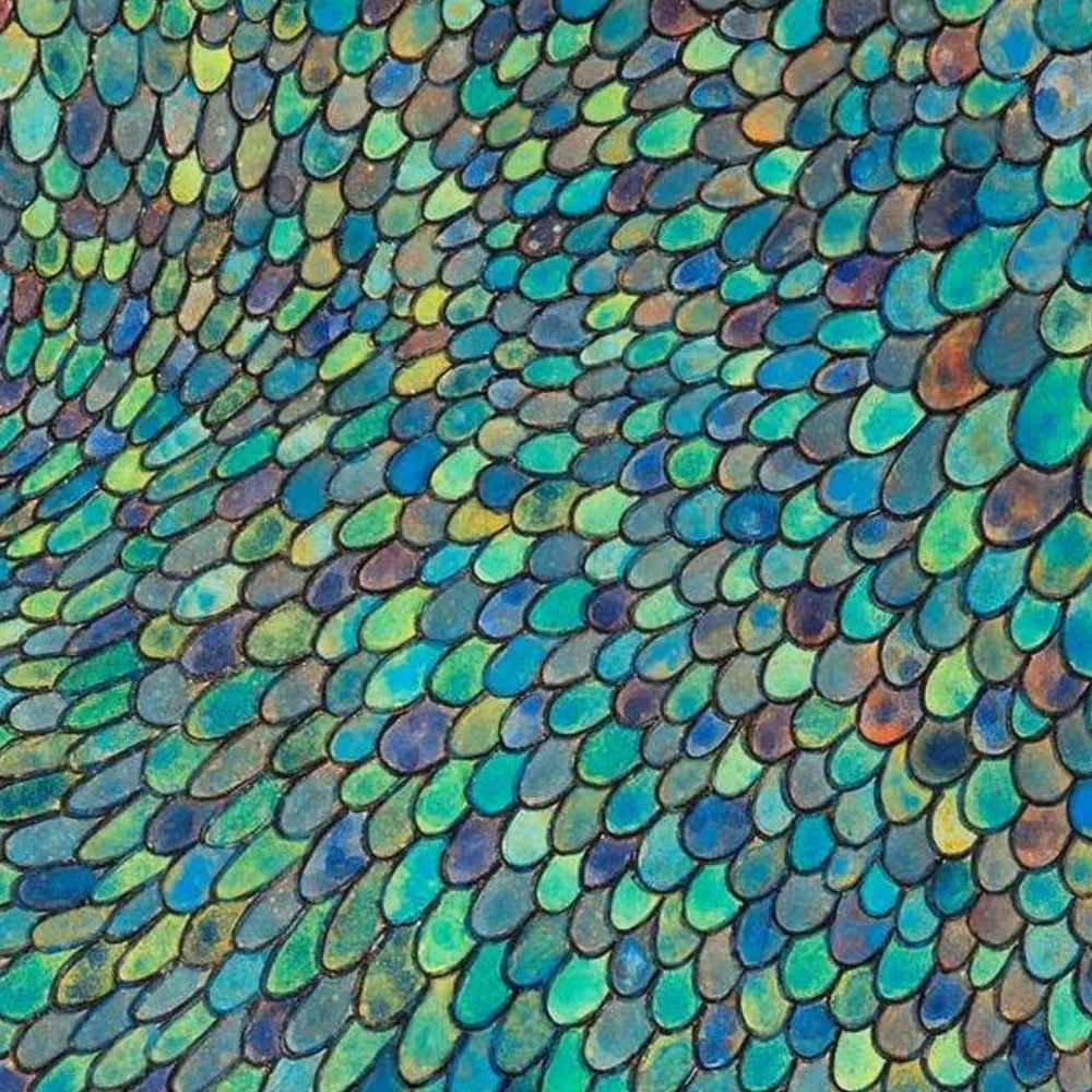 [blue scales][limited edition print by seth b minkin]