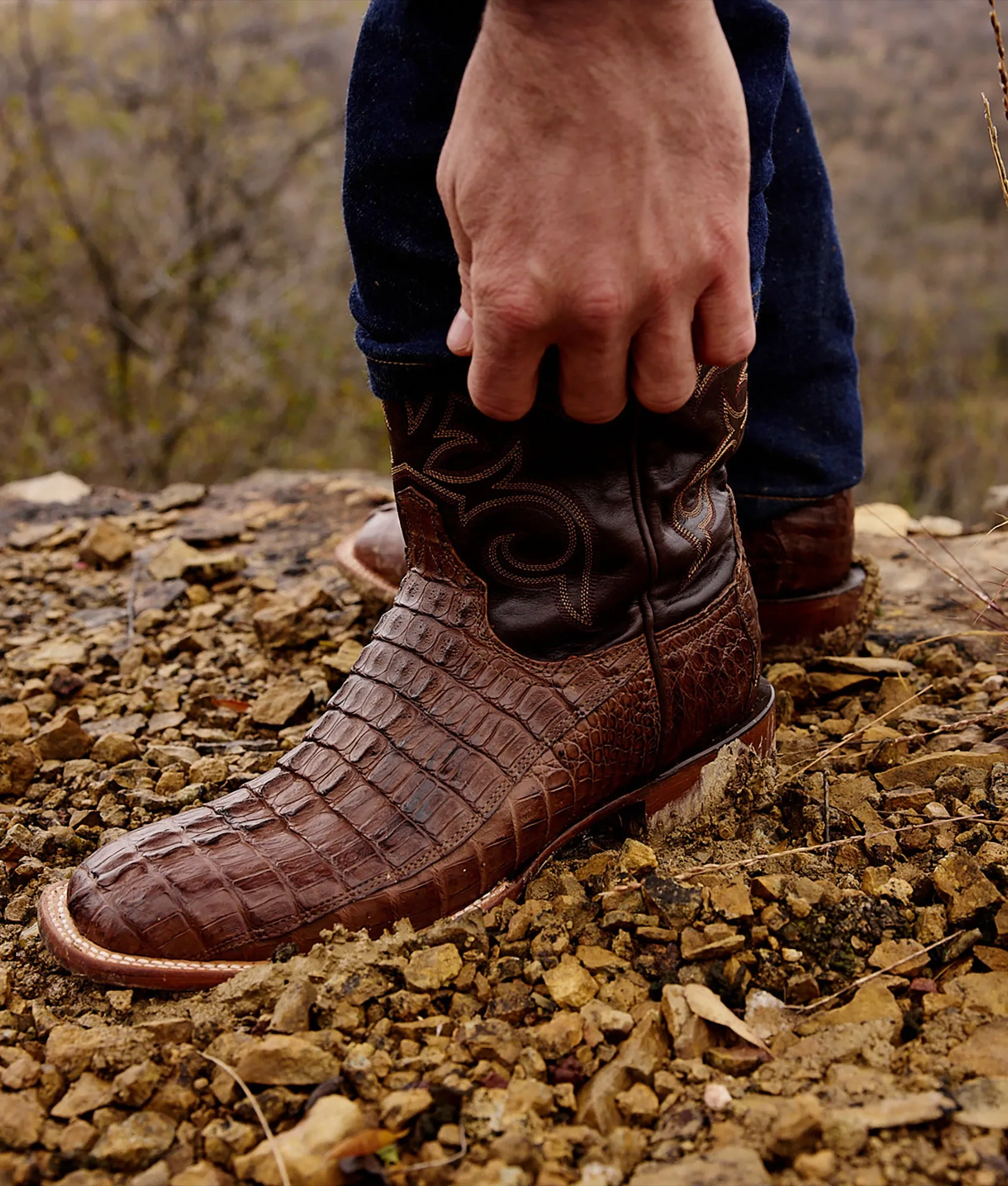 Haan :: Tan   Chocolate