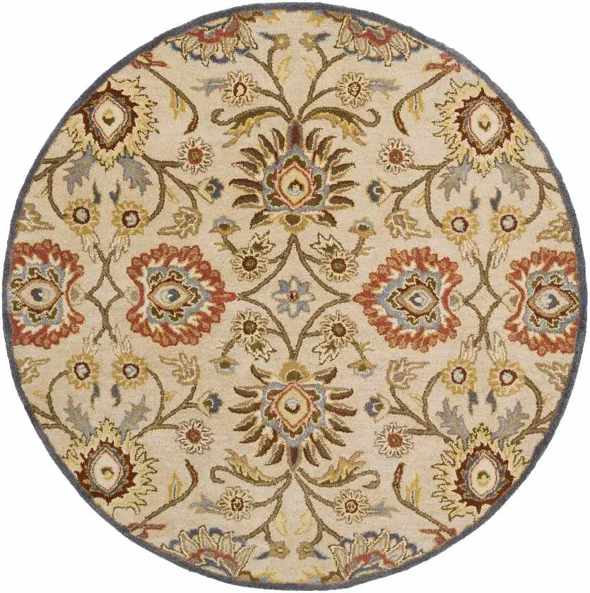 Meathur Traditional Area Rug
