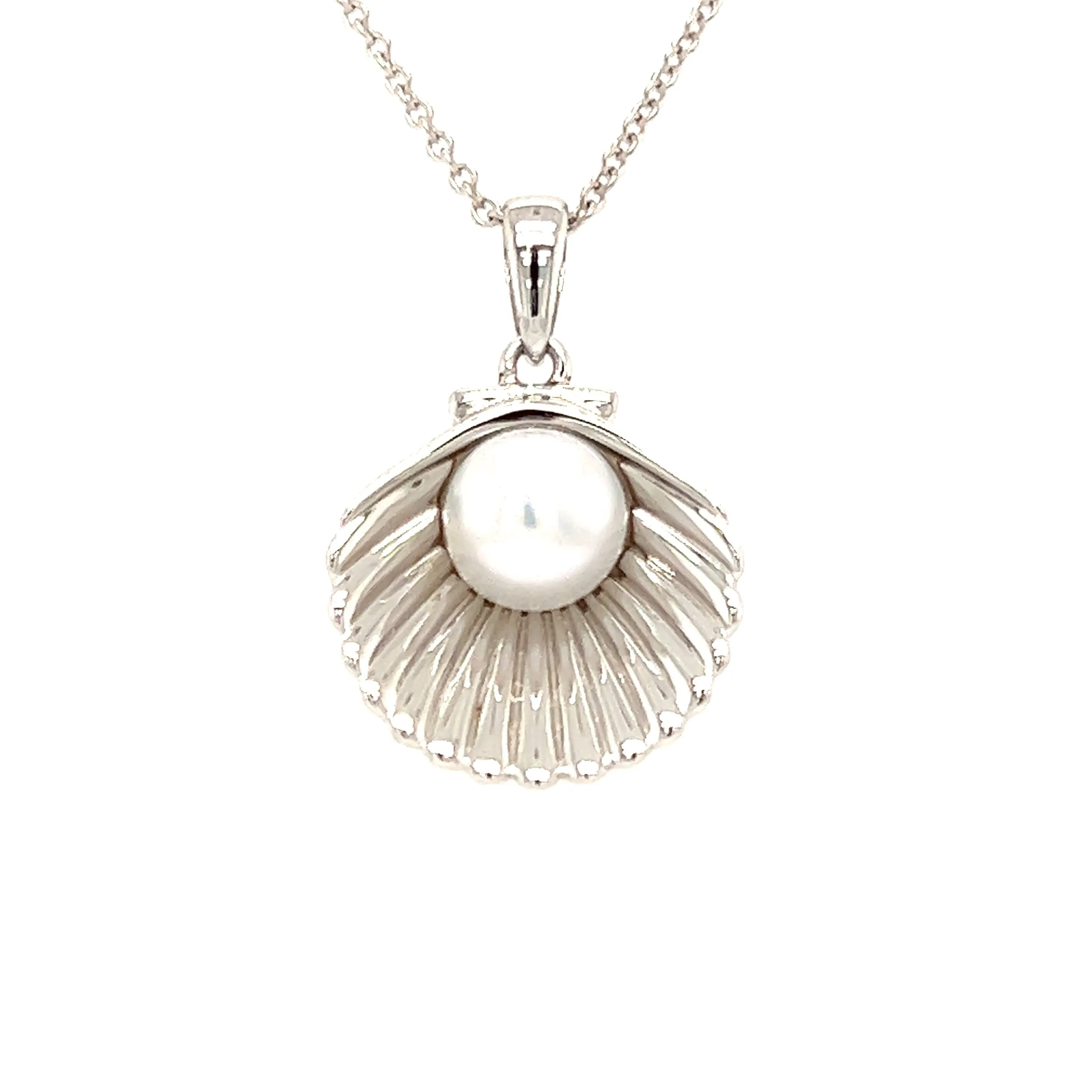 Shell Necklace with White Pearl in Sterling Silver