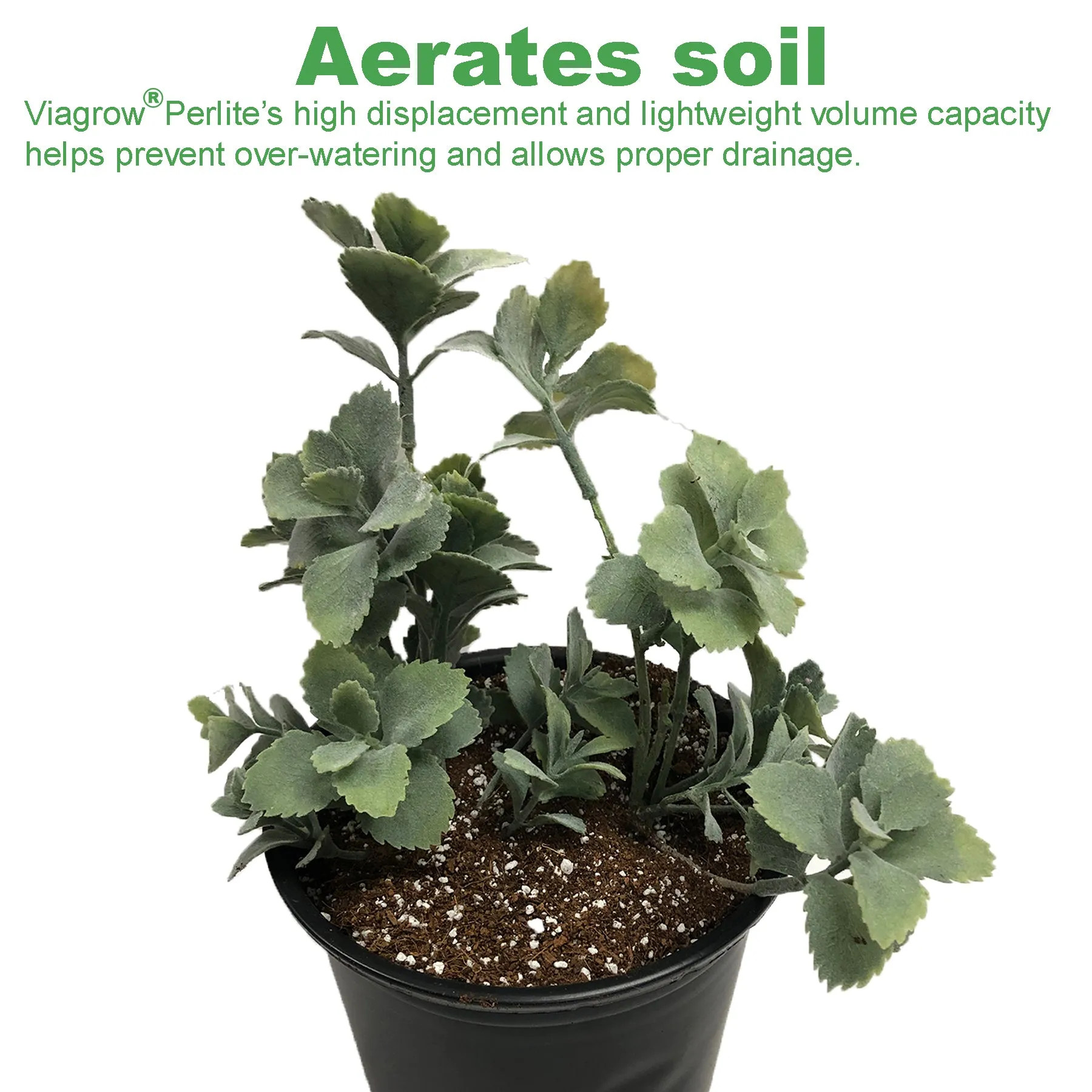 Viagrow 1CF Perlite 1CF Vermiculite 5KG Coco Coir, Makes 128 Quarts / 32 Gal / 4.4CF