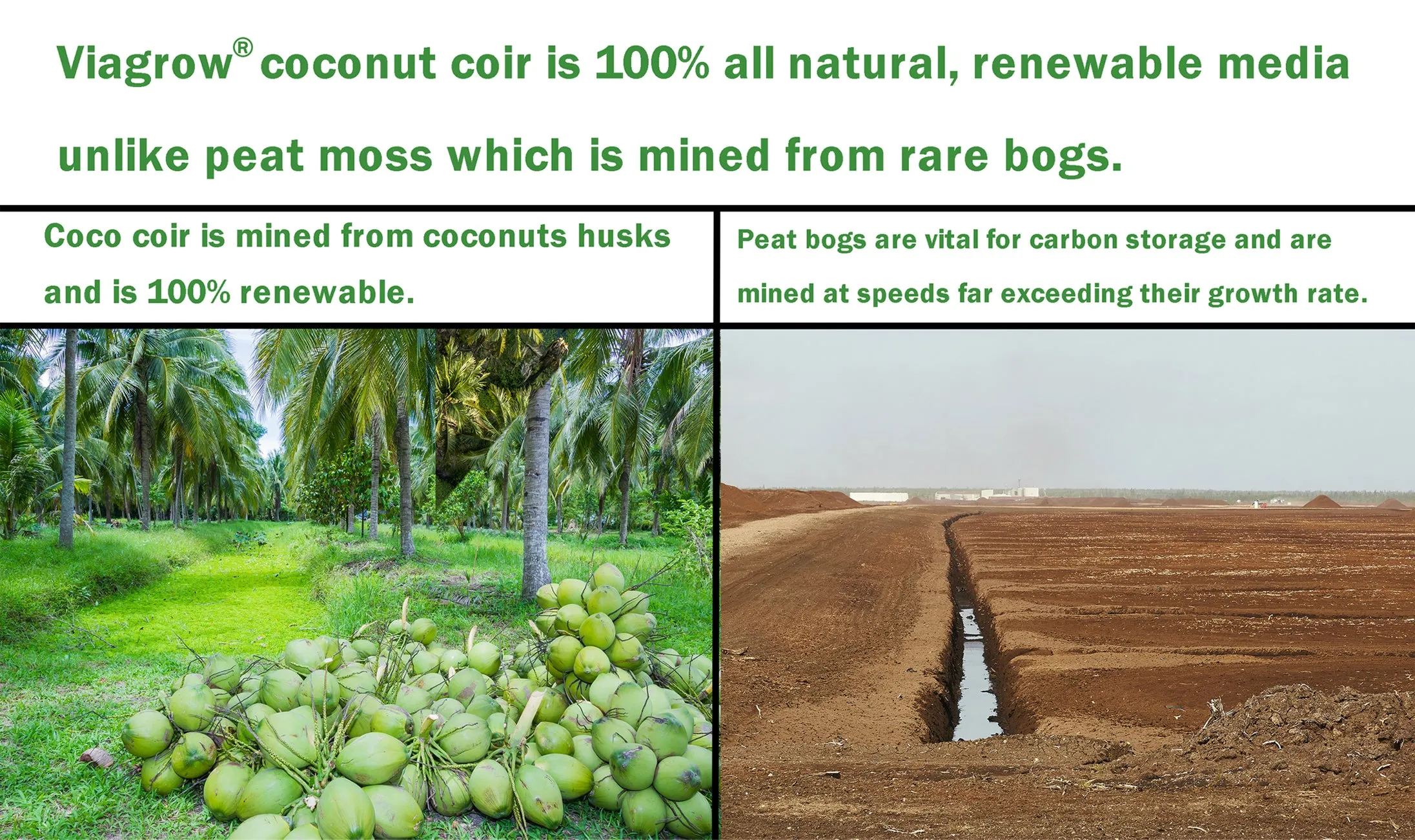 Viagrow 1CU. FT (50L) Coco Chip Premium Reptile Substrate (EA)