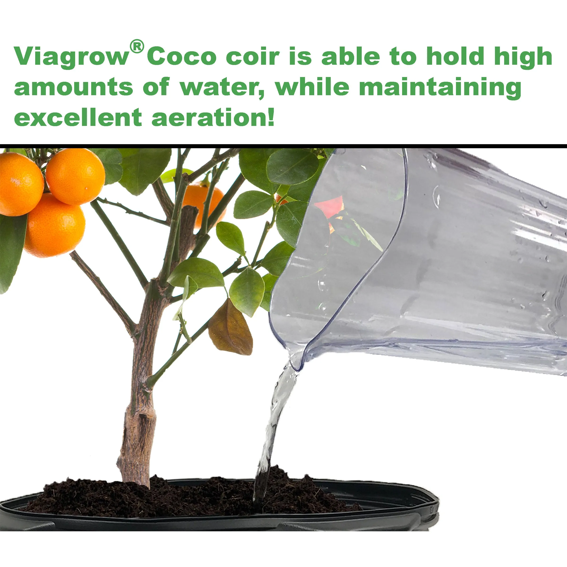 Viagrow 5KG (11LB) Buffered Coconut Coir Compressed Premium Grow Media (Pallet of 200)